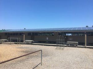 solar panels on Ridgewood Elementary in Cutten